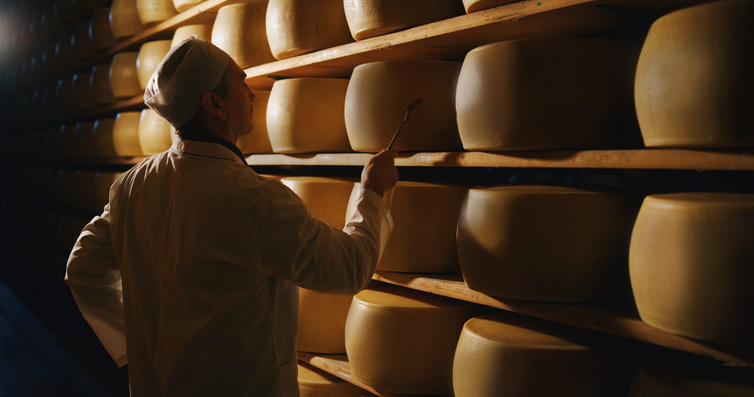 слушатель пармезана. слушатели сыра пармезан о профессии. сырный слушатель. слушатель сыра пармезан. слушатель пармезана профессия.